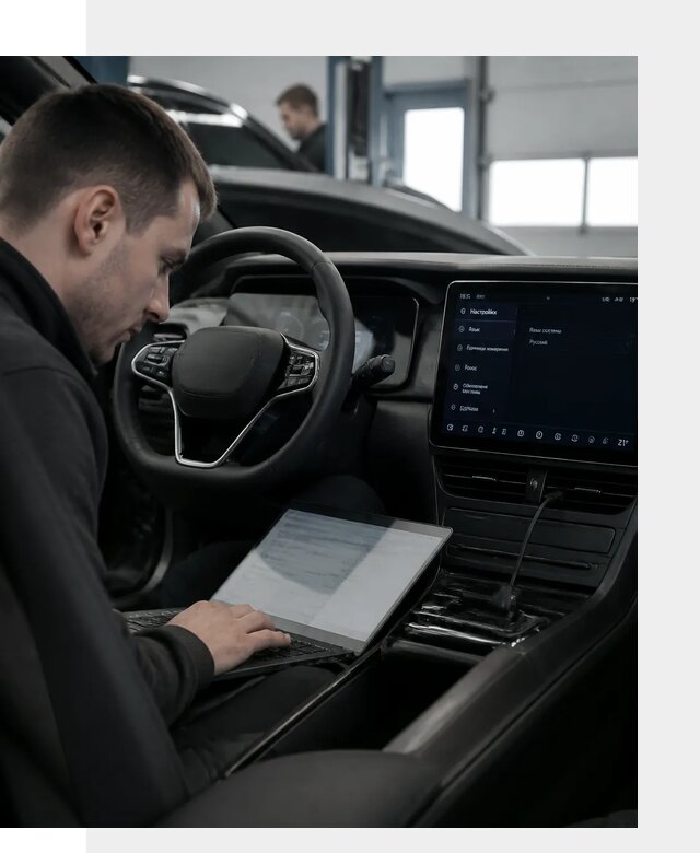 Русификация автомобилей BYD под ключ для всех моделей в Дивногорске